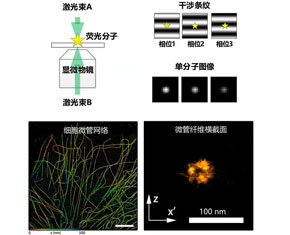 干预干与单分子定位显微镜