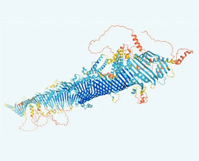 科学家jie助AI手艺破解卵白质结构展望难题