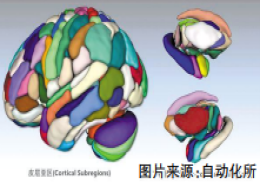 领衔绘制全新人类脑图谱