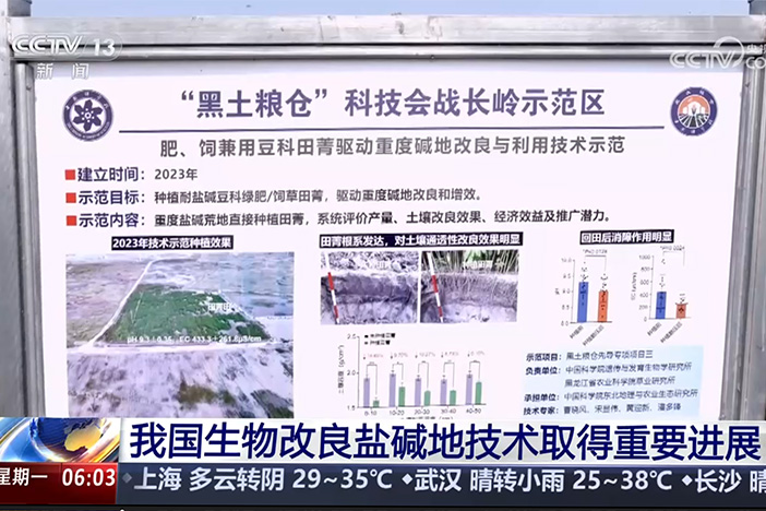 【朝闻天下】我国生物改良盐碱地手艺取得主要希望