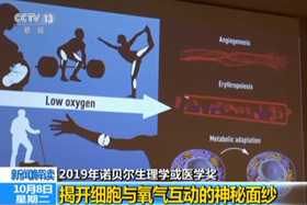 【新闻直播间】2019年诺贝尔心理学或医学奖：揭开细胞与氧气互动的神秘面纱