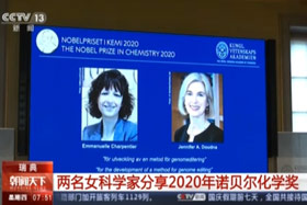 【新闻直播间】2020年诺贝尔化学奖揭晓：两位女科学家分享诺贝尔化学奖